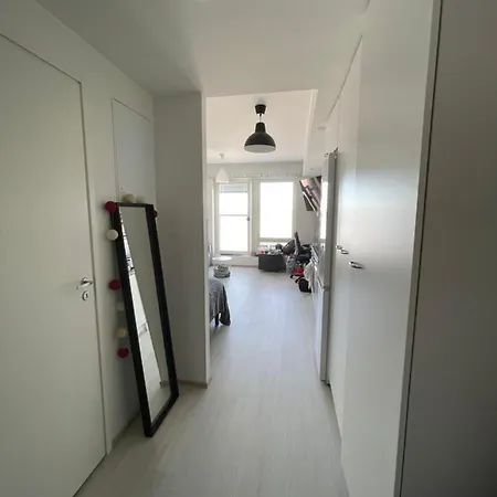 Arctic Penthouse With Free Parking And High-speed Wi-fi Rovaniemi