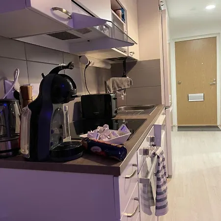 Arctic Penthouse With Free Parking And High-speed Wi-fi 罗瓦涅米