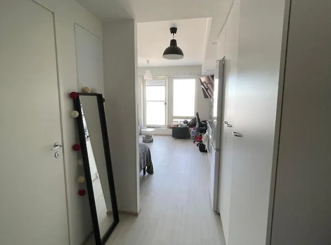 Arctic Penthouse With Free Parking And High-speed Wi-fi רובניימי